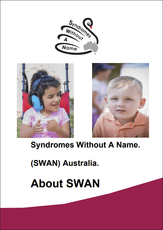 Access Easy English project. SWAN brochure. About SWAN